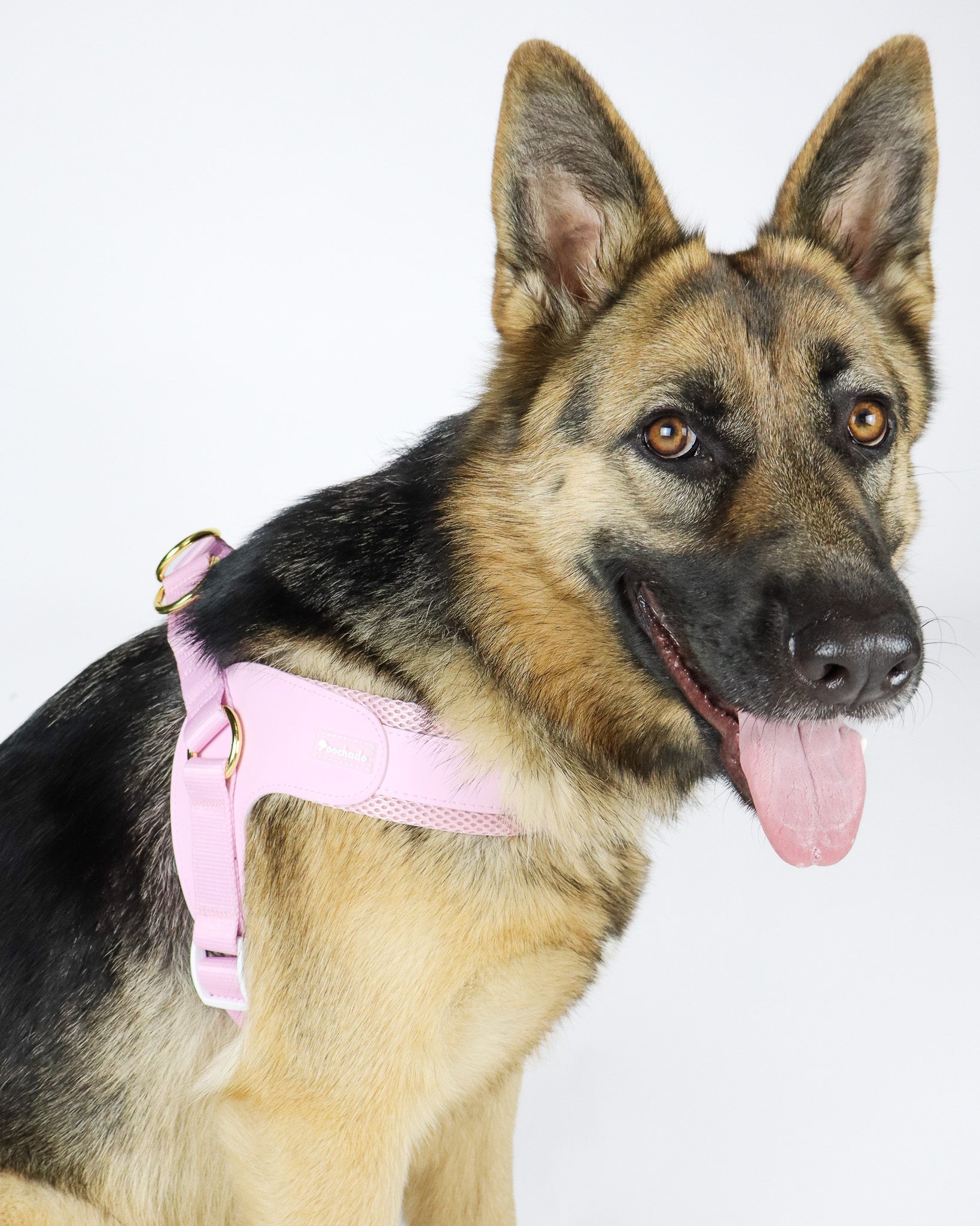 Step & Go Harness Blue | Poochado