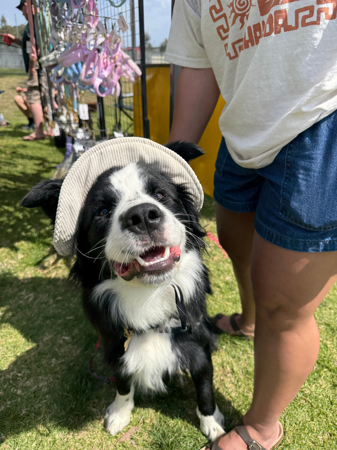 Dog Bucket Hat Corduroy Beige