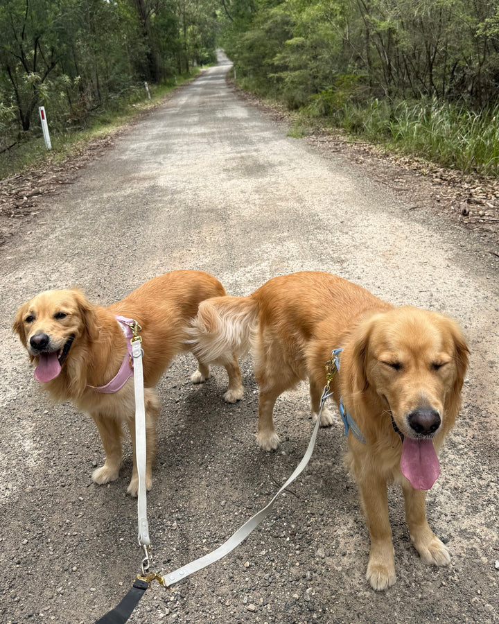 Lead Splitter 2ft Grey