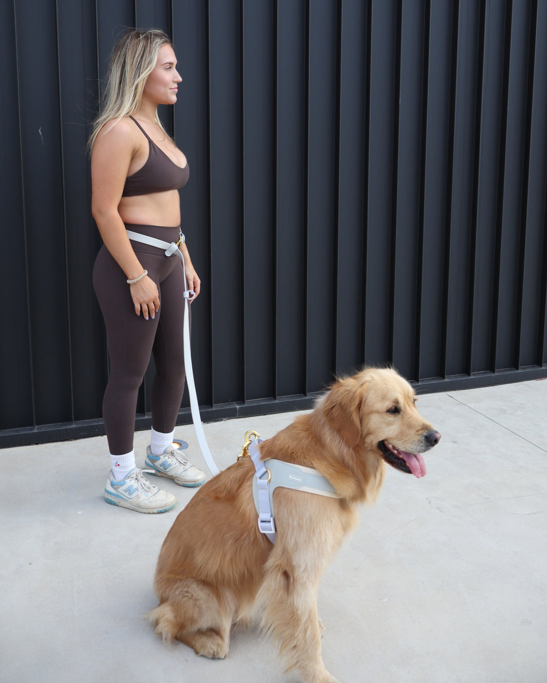 Big Dog Harness Grey