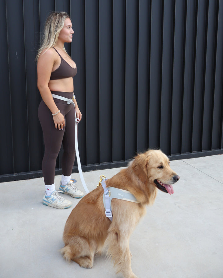 Big Dog Harness Grey