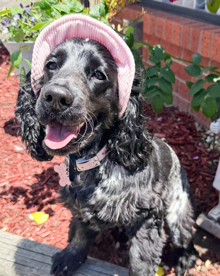 Dog Bucket Hat Corduroy Pink