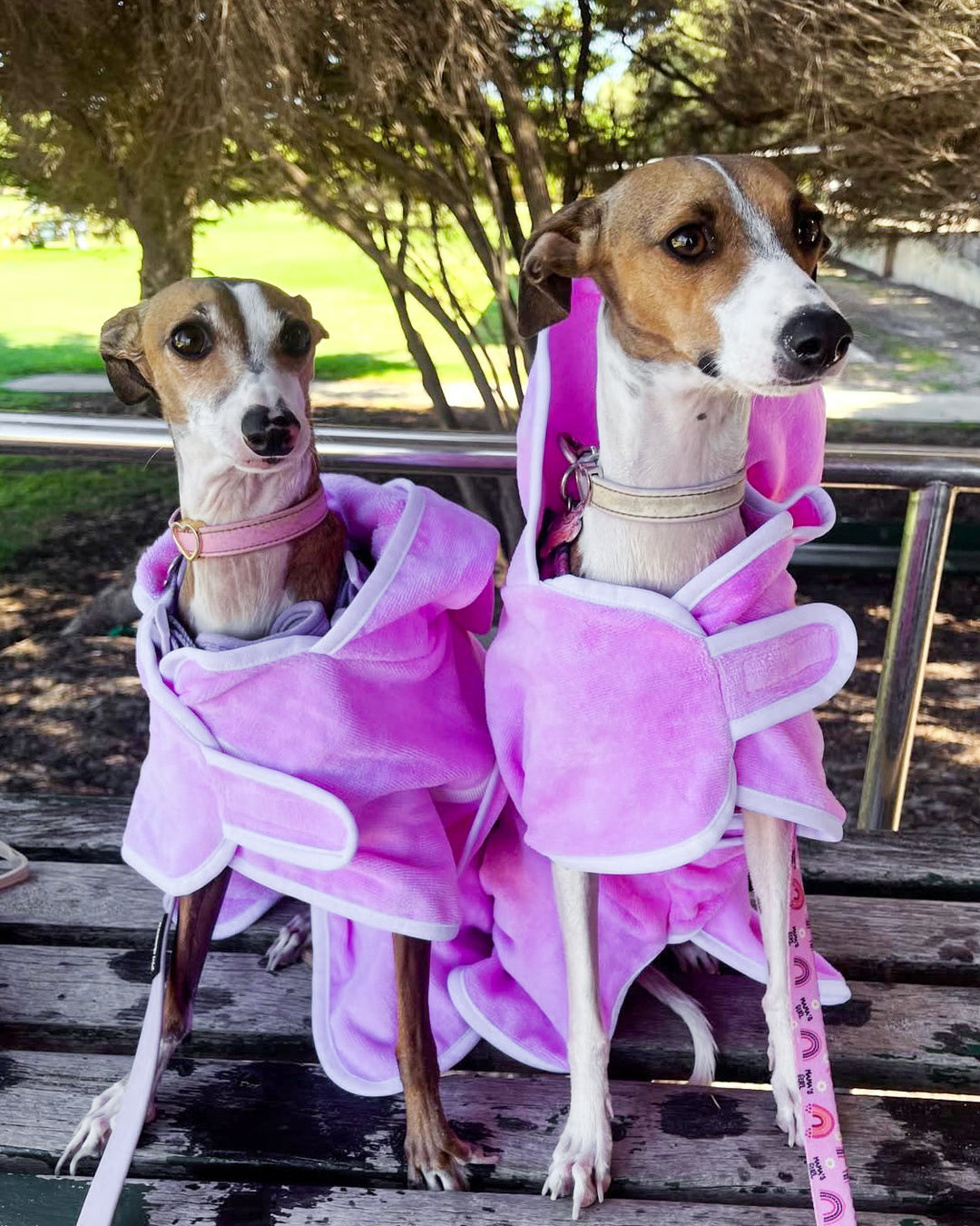 Cotton Bath Robe Pink