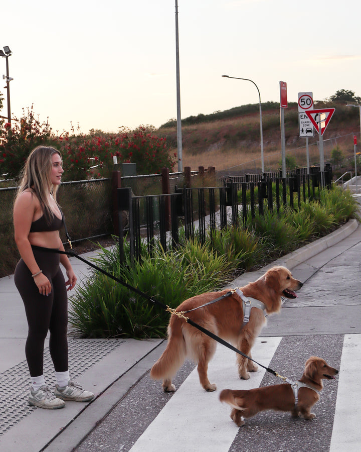 Lead Splitter 2ft Black