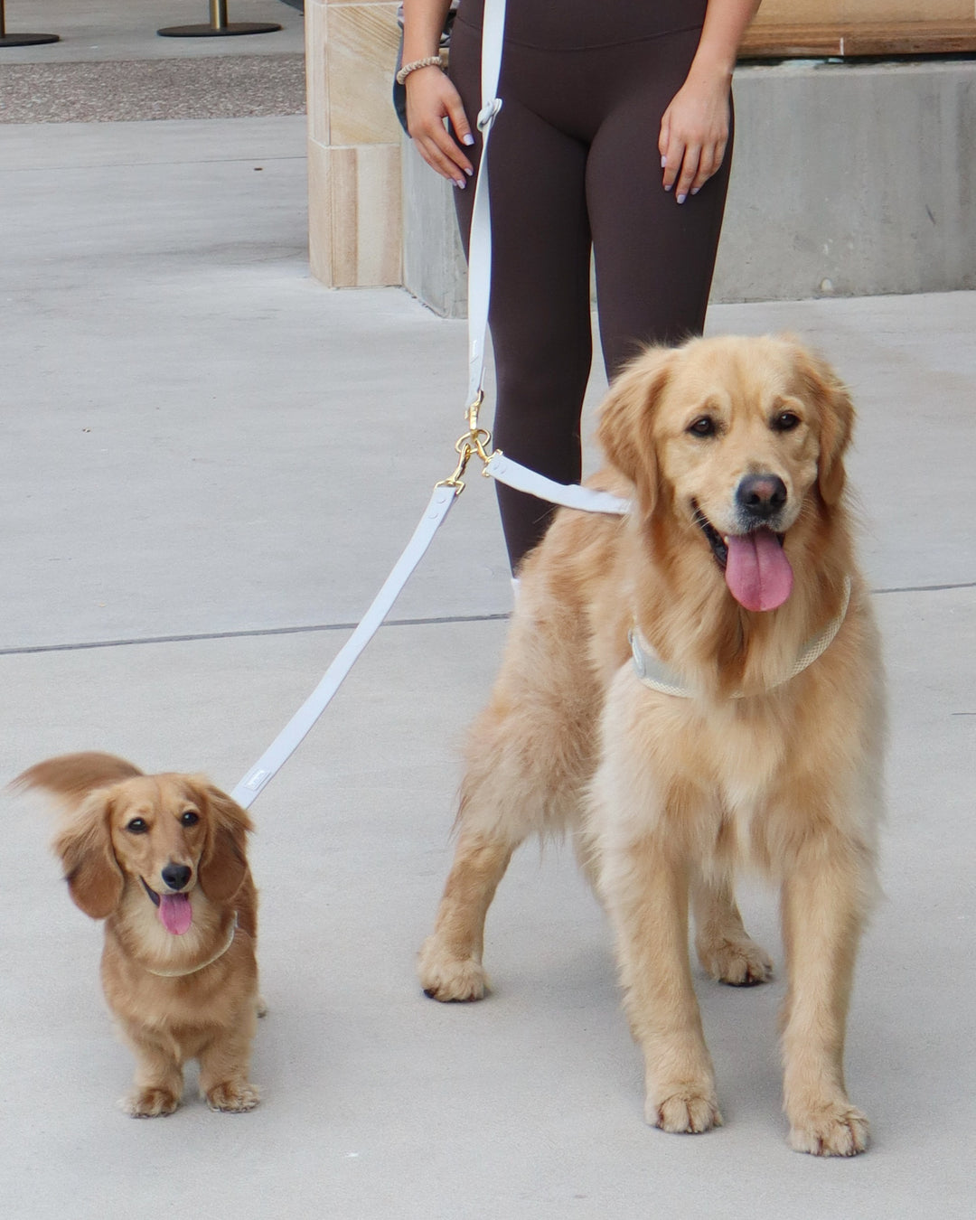 Lead Splitter 2ft Grey