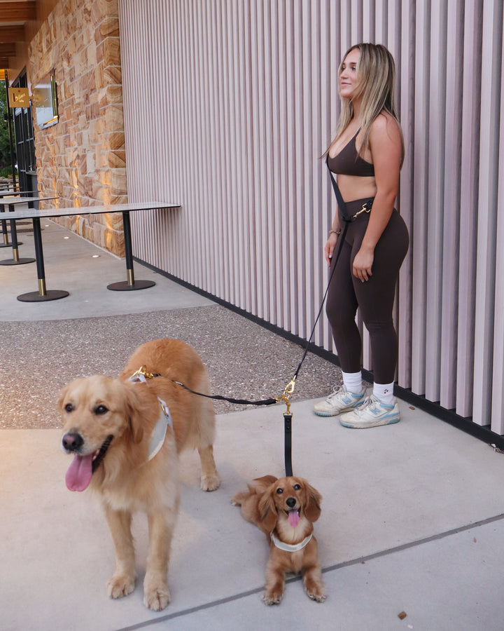 Lead Splitter 2ft Black