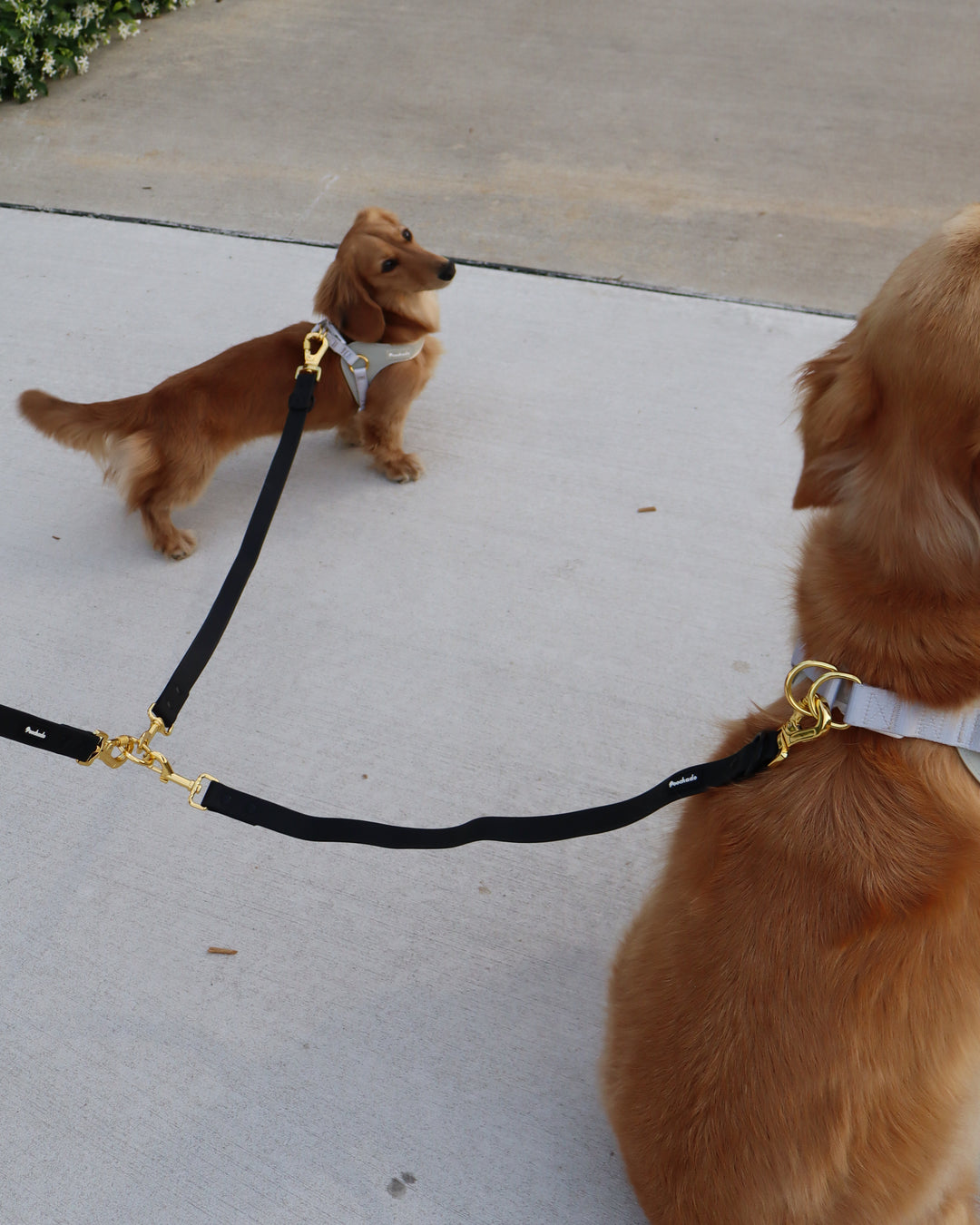 Lead Splitter 2ft Black