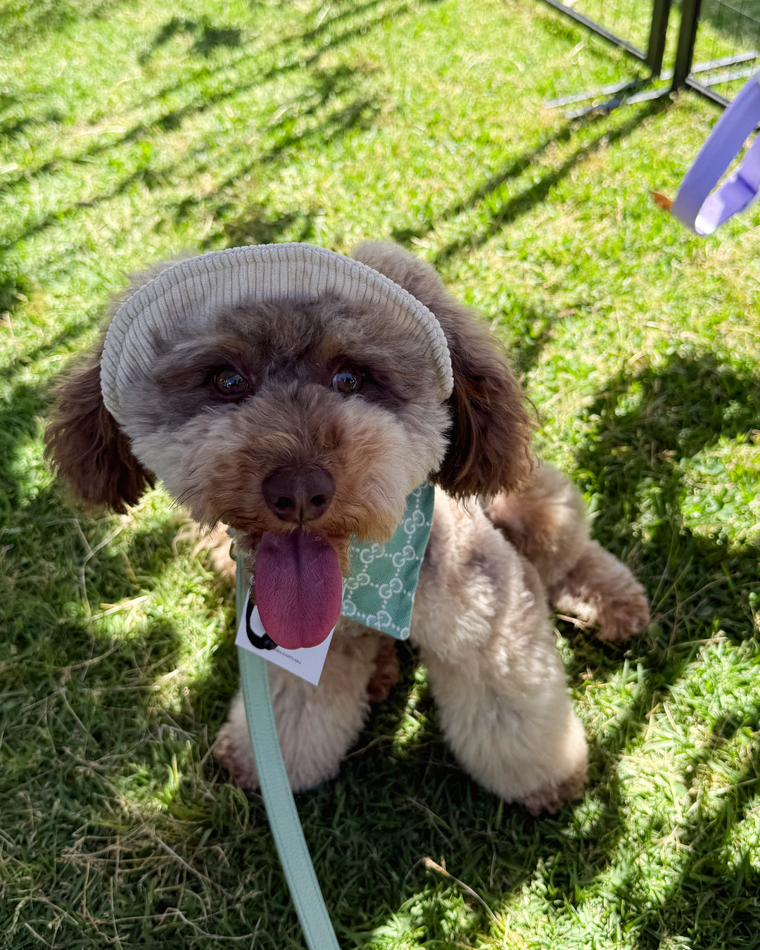 Dog Bucket Hat Corduroy Beige