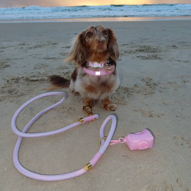 Little Dog Harness Pink