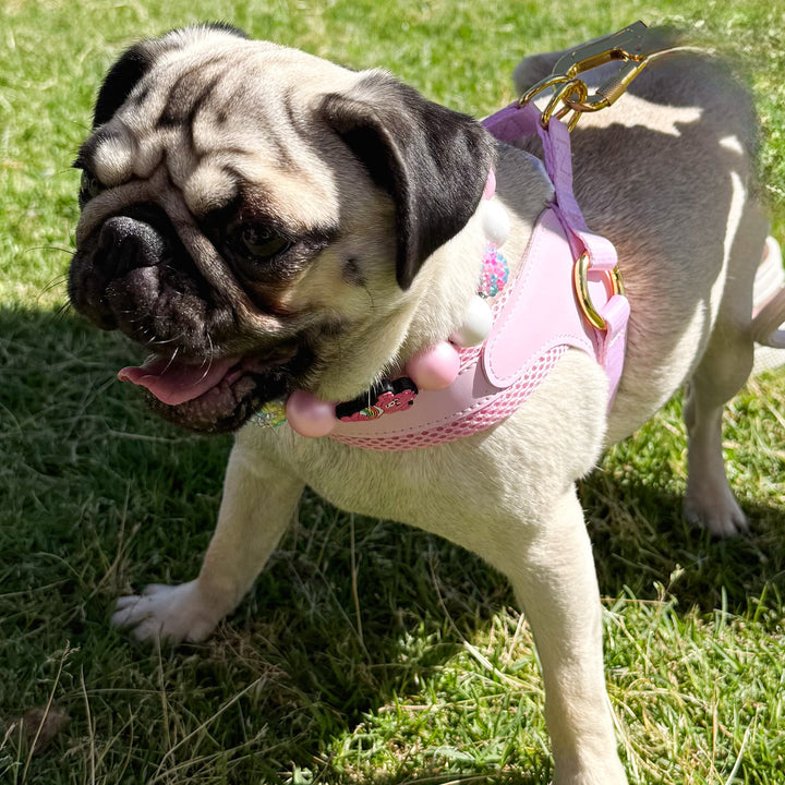 Little Dog Harness Pink