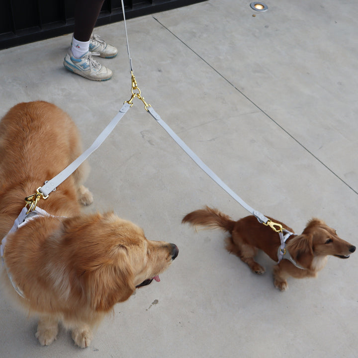 Lead Splitter 2ft Grey