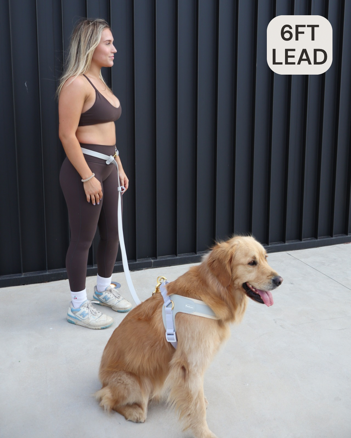 Hands Free Lead Grey