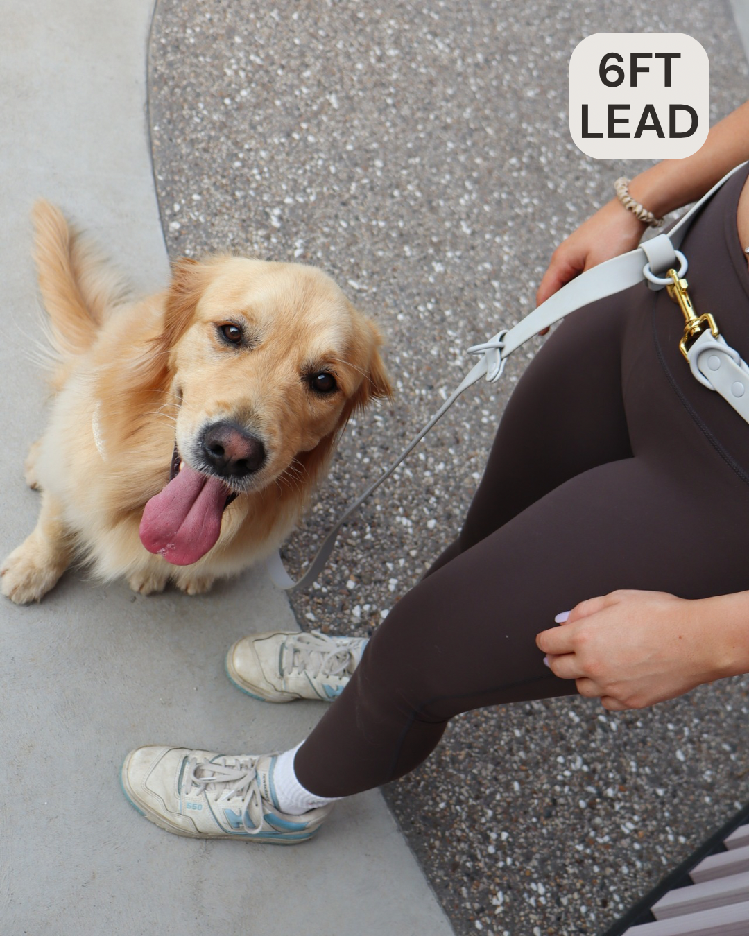 Hands Free Lead Grey