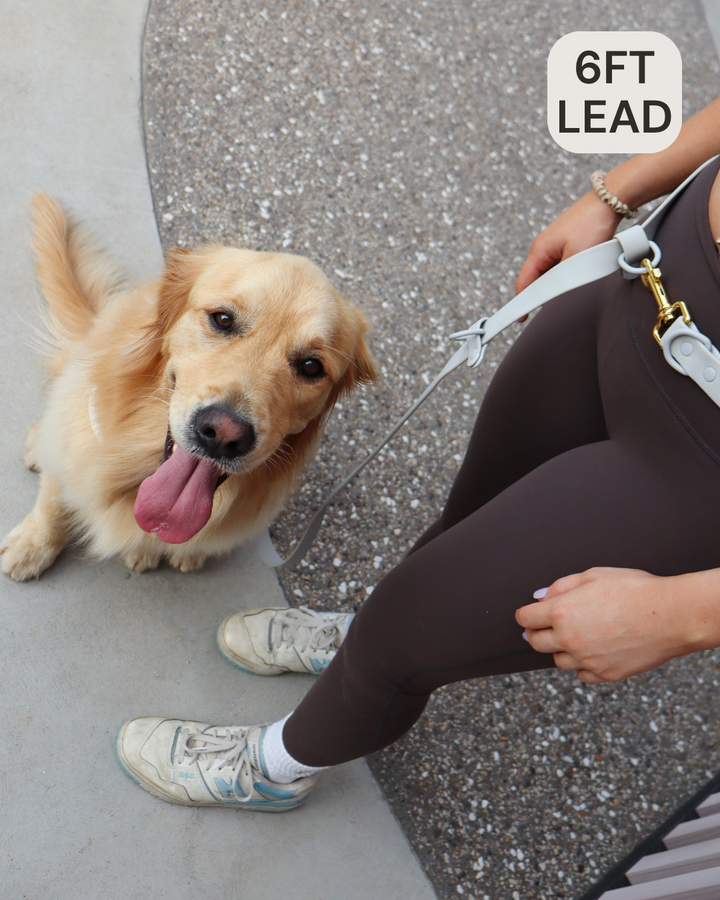 Hands Free Lead Grey