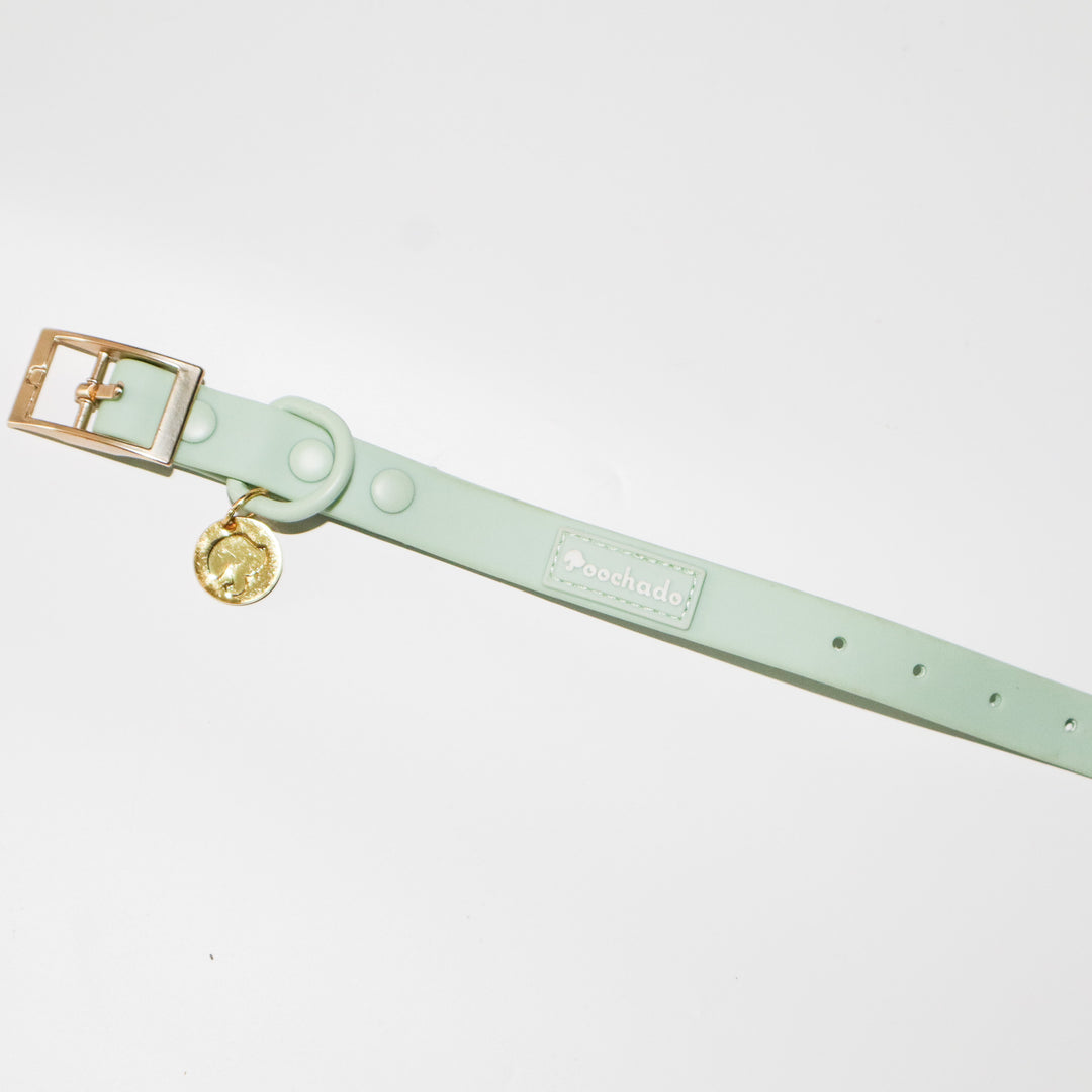 Waterproof PVC Collar Green