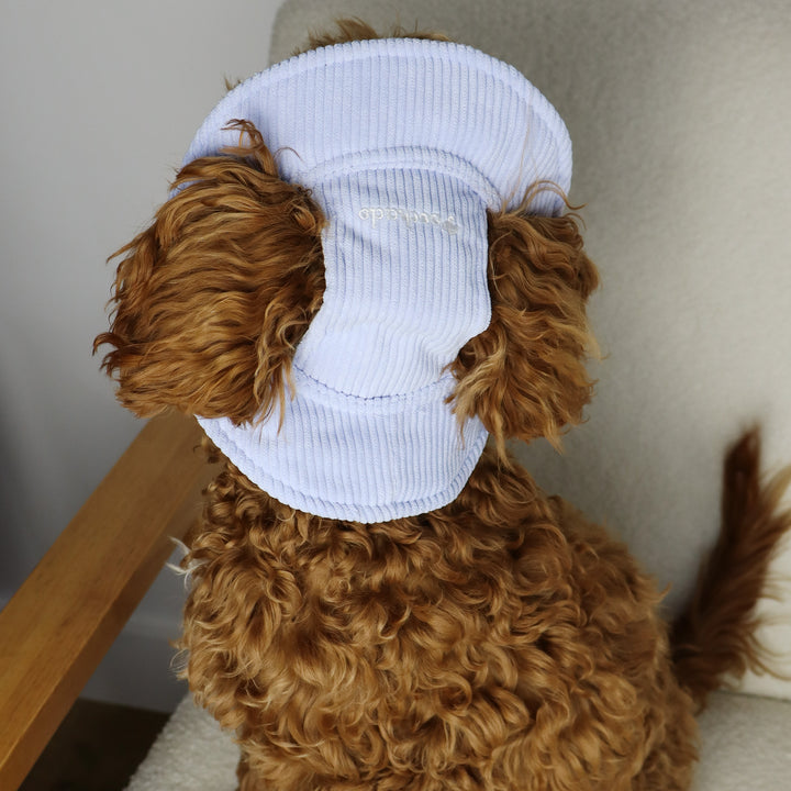 Dog Bucket Hat Corduroy Blue