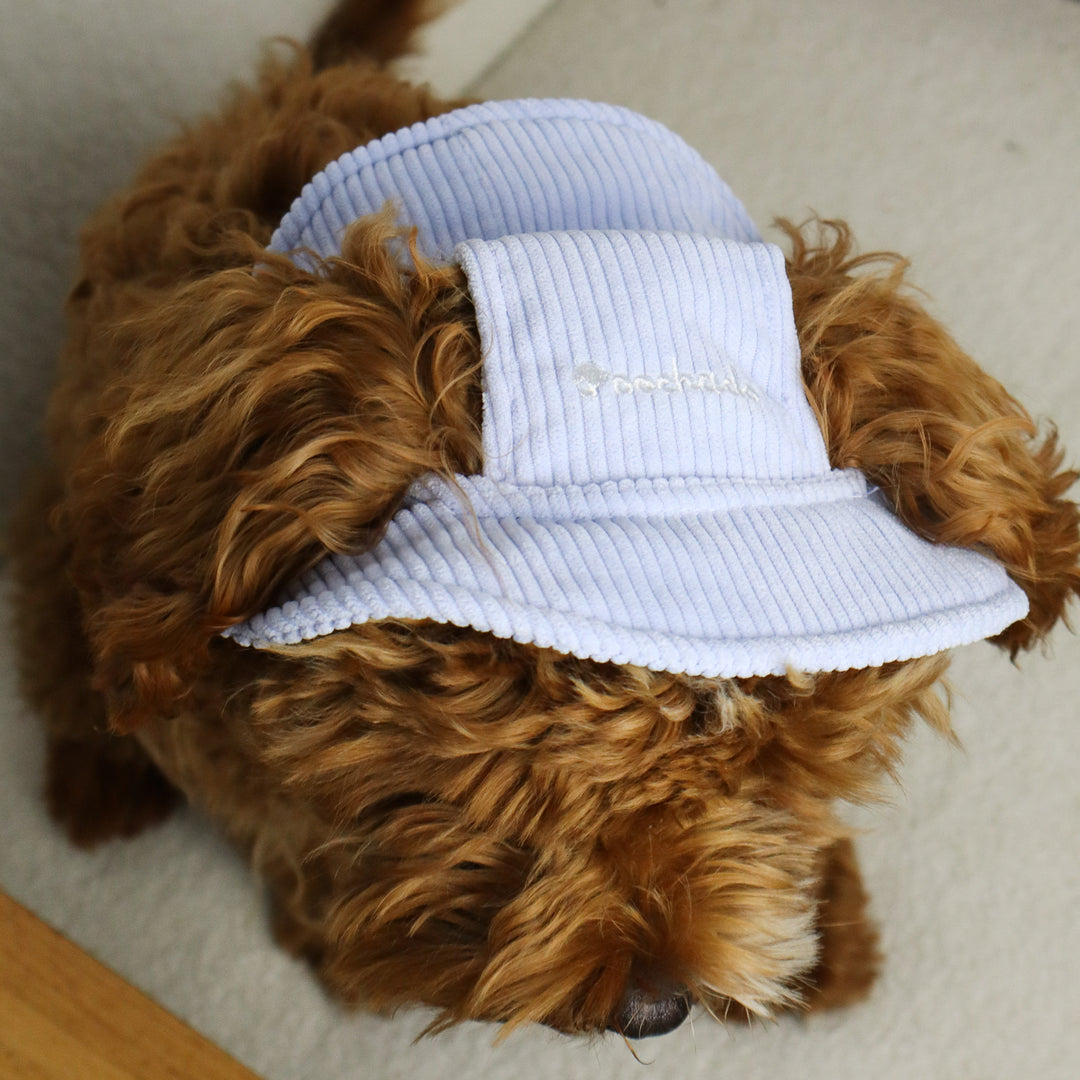 Dog Bucket Hat Corduroy Blue