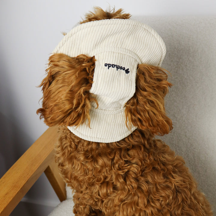 Dog Bucket Hat Corduroy Beige