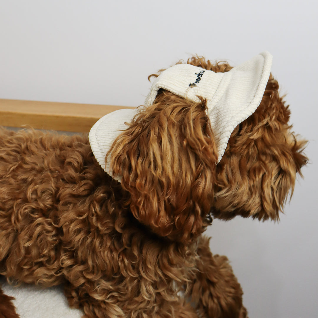 Dog Bucket Hat Corduroy Beige