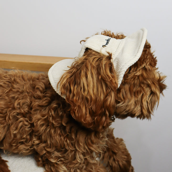 Dog Bucket Hat Corduroy Beige