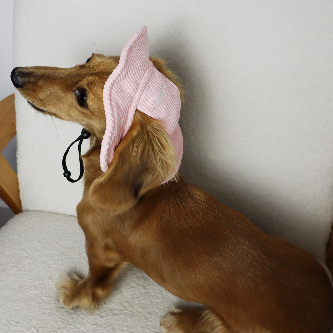 Dog Bucket Hat Corduroy Pink