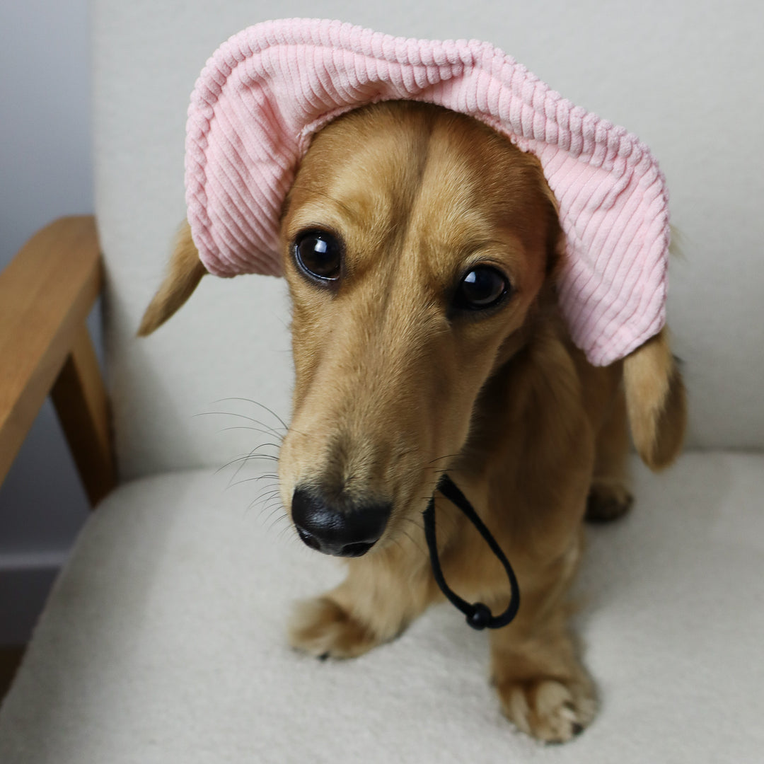 Dog Bucket Hat Corduroy Pink