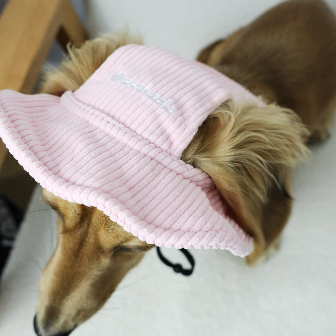 Dog Bucket Hat Corduroy Pink