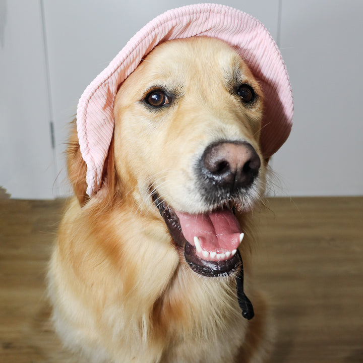 Dog Bucket Hat Corduroy Pink