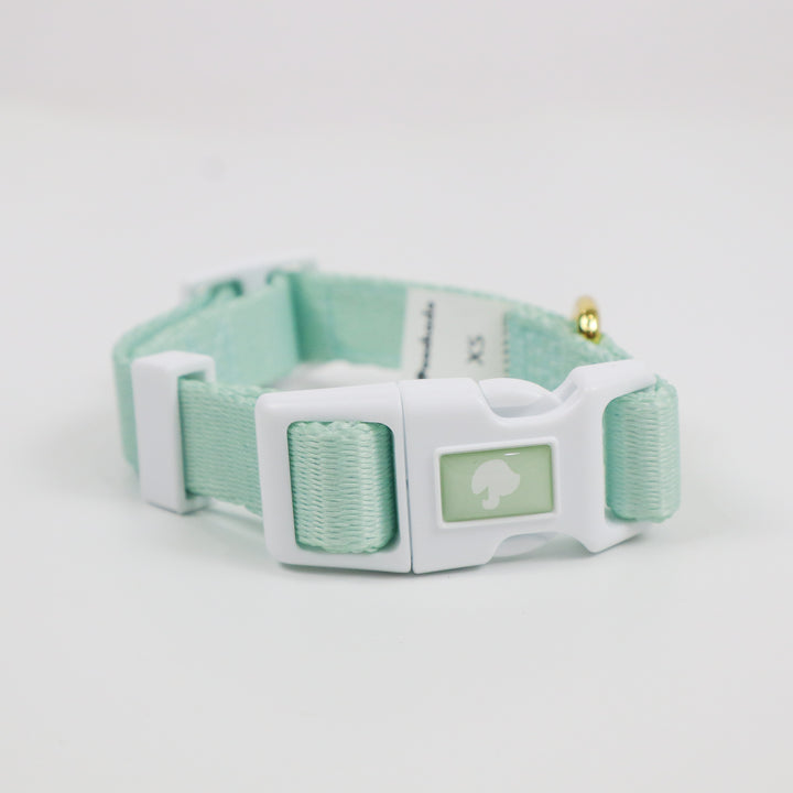 Daily Collar Green