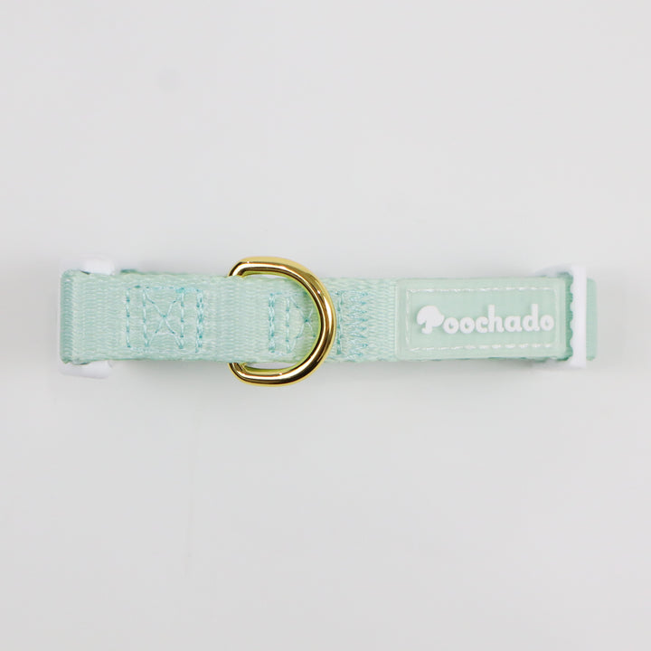 Daily Collar Green