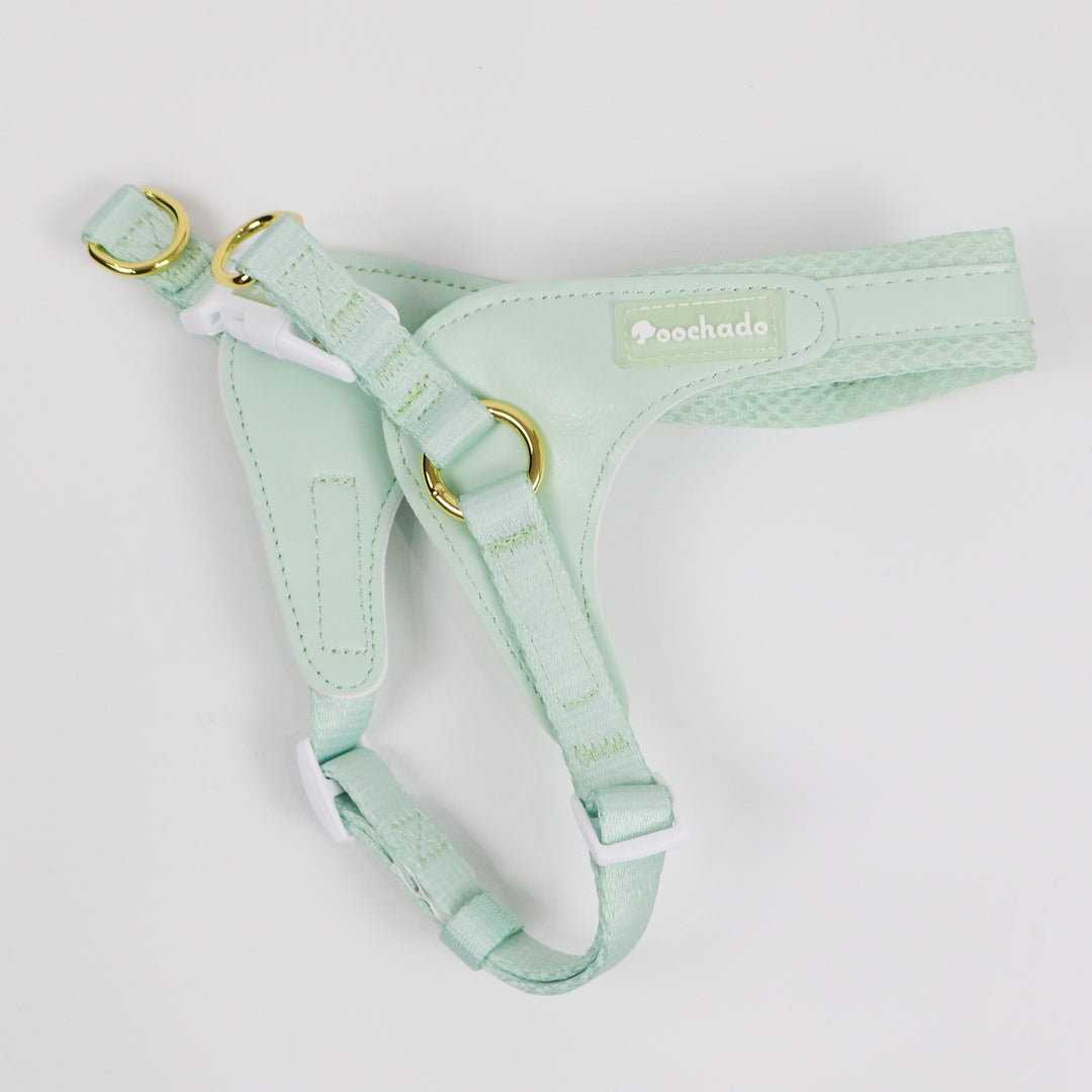 Little Dog Harness Green