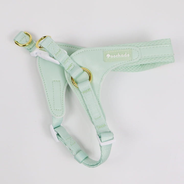 Little Dog Harness Green