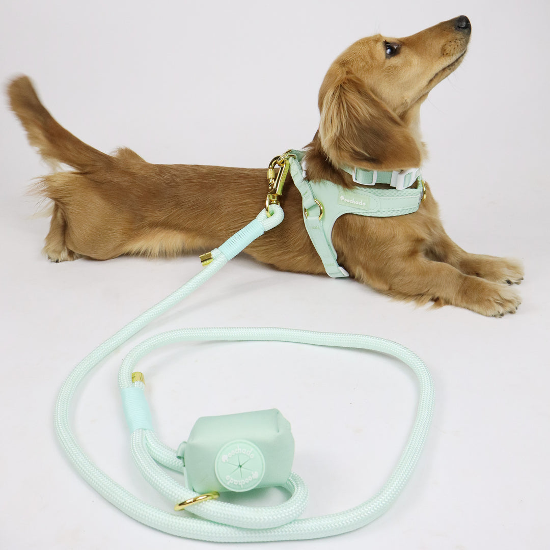Nylon Lead Green