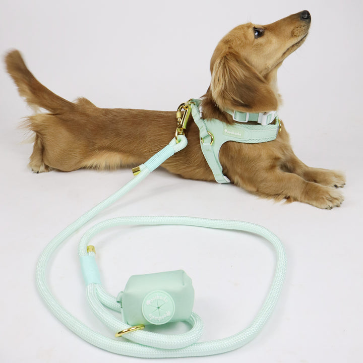 Nylon Lead Green