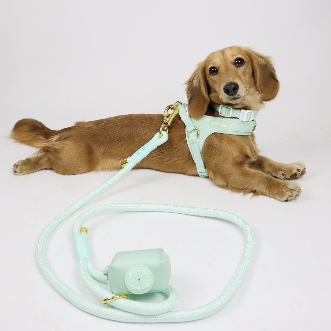 Nylon Lead Green