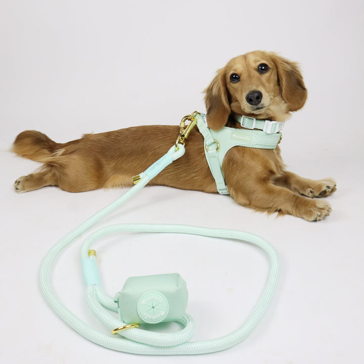 Nylon Lead Green