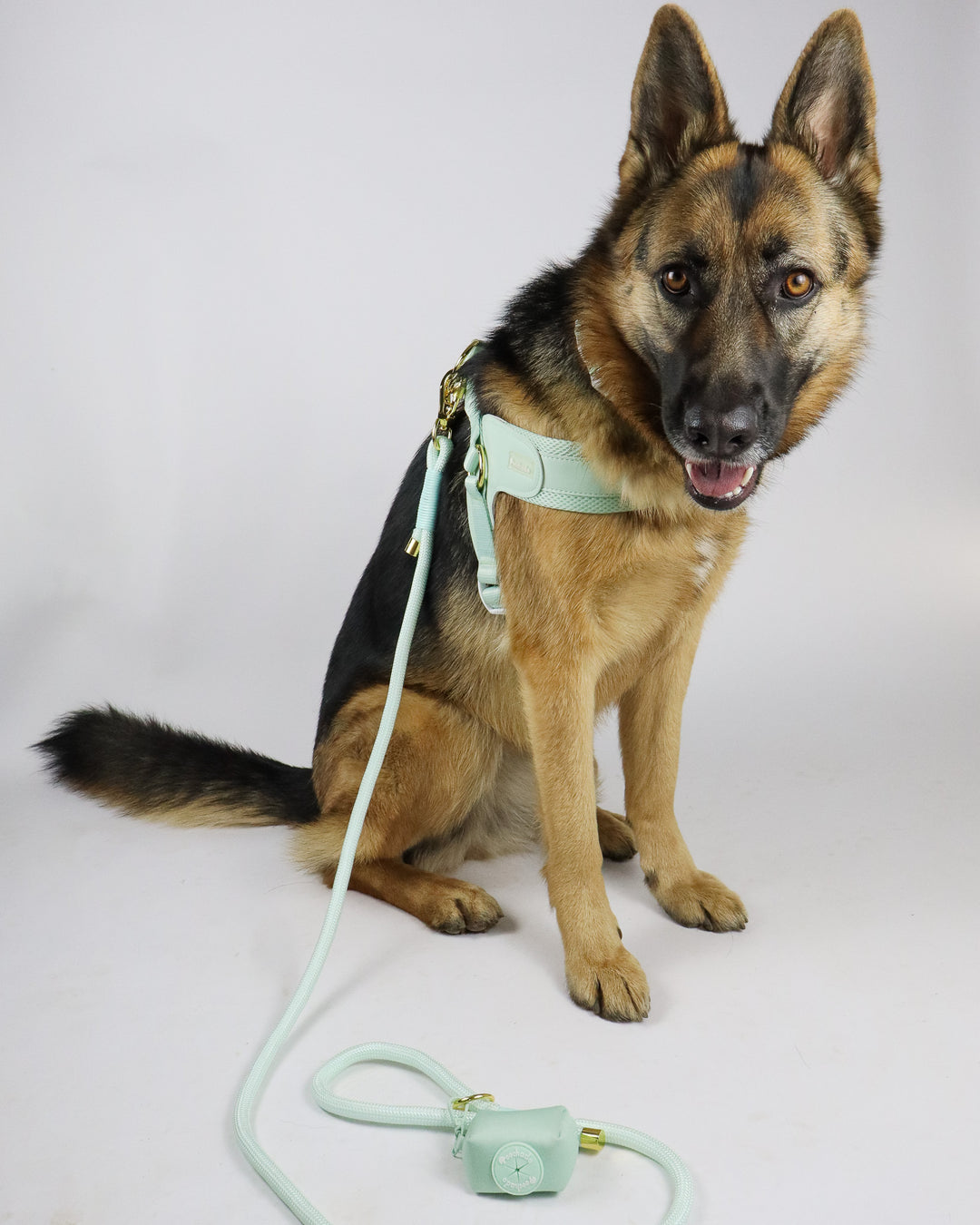 Nylon Lead Green