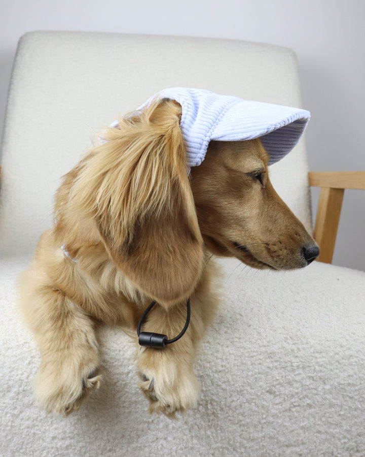 Dog Cap Corduroy Blue