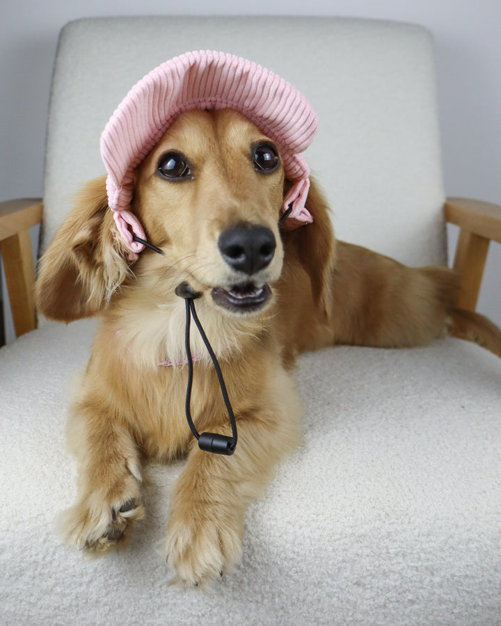 Dog Cap Corduroy Pink