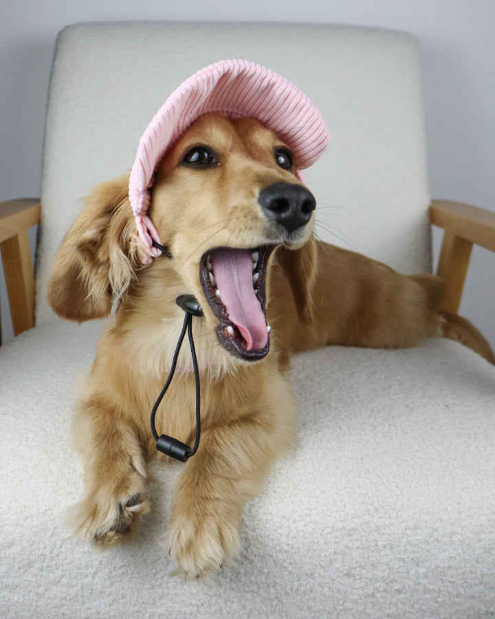 Dog Cap Corduroy Pink