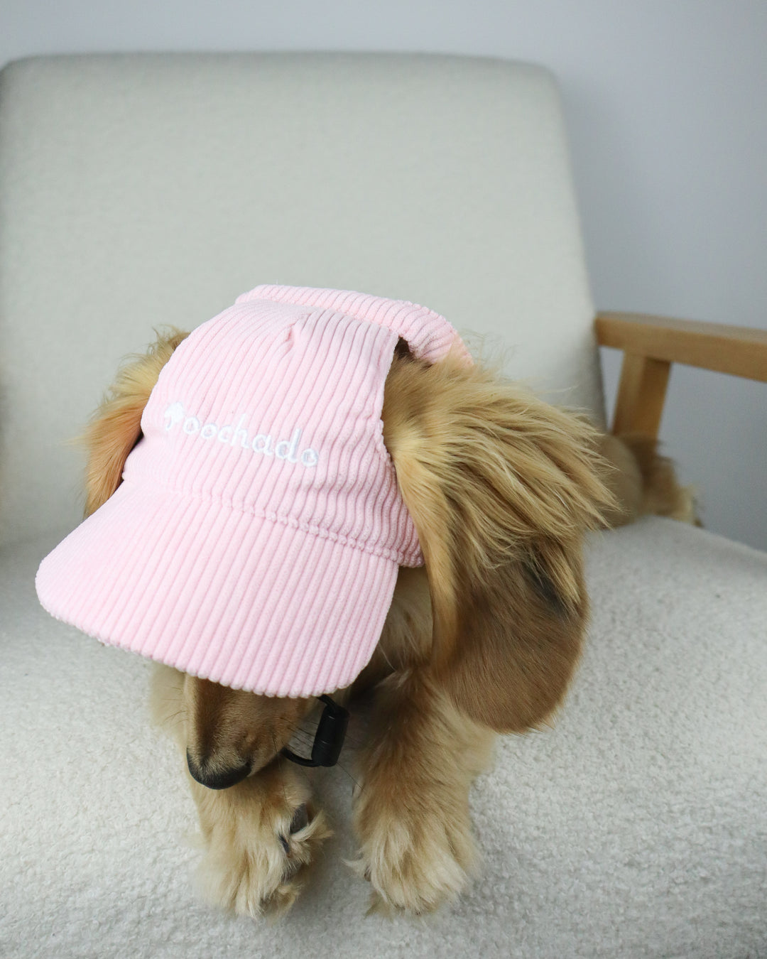 Dog Cap Corduroy Pink