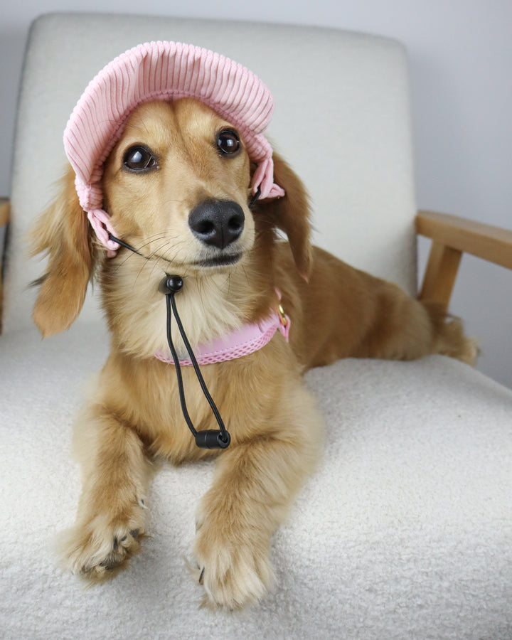 Dog Cap Corduroy Pink