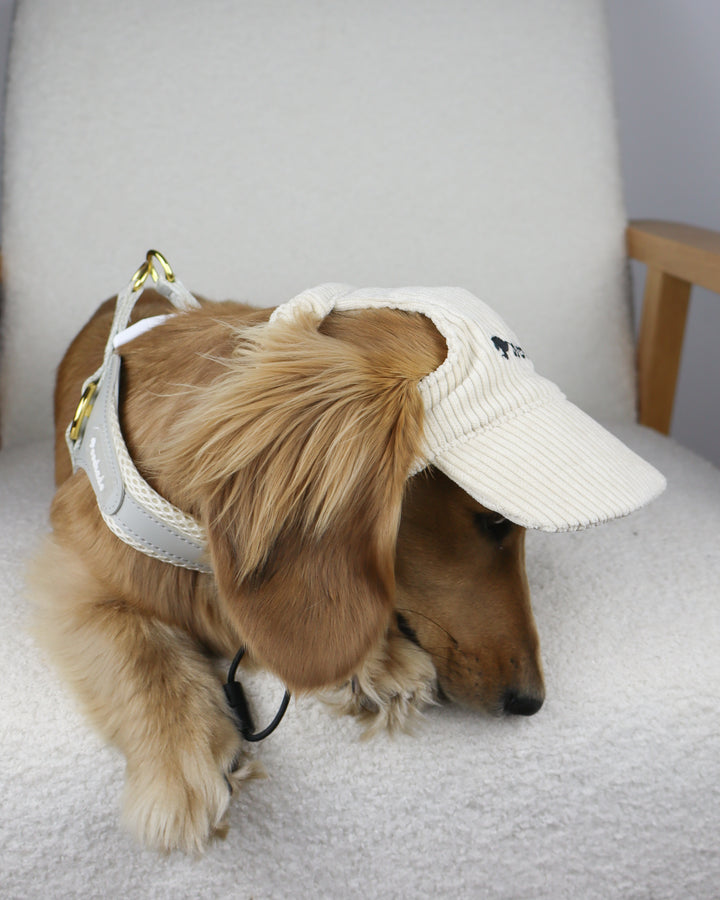 Dog Cap Corduroy Beige