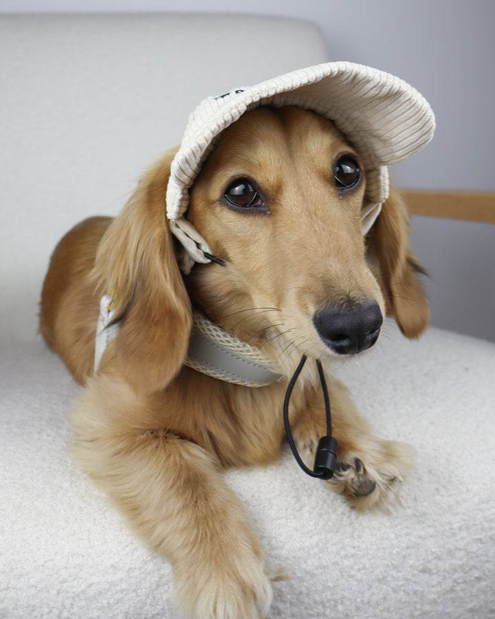 Dog Cap Corduroy Beige