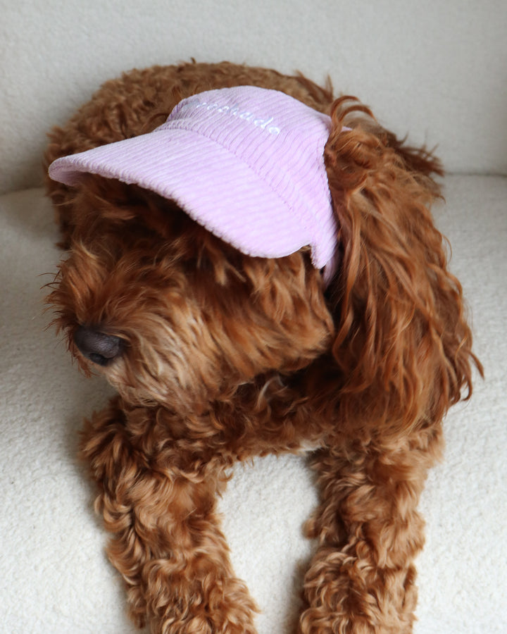 Dog Cap Corduroy Purple
