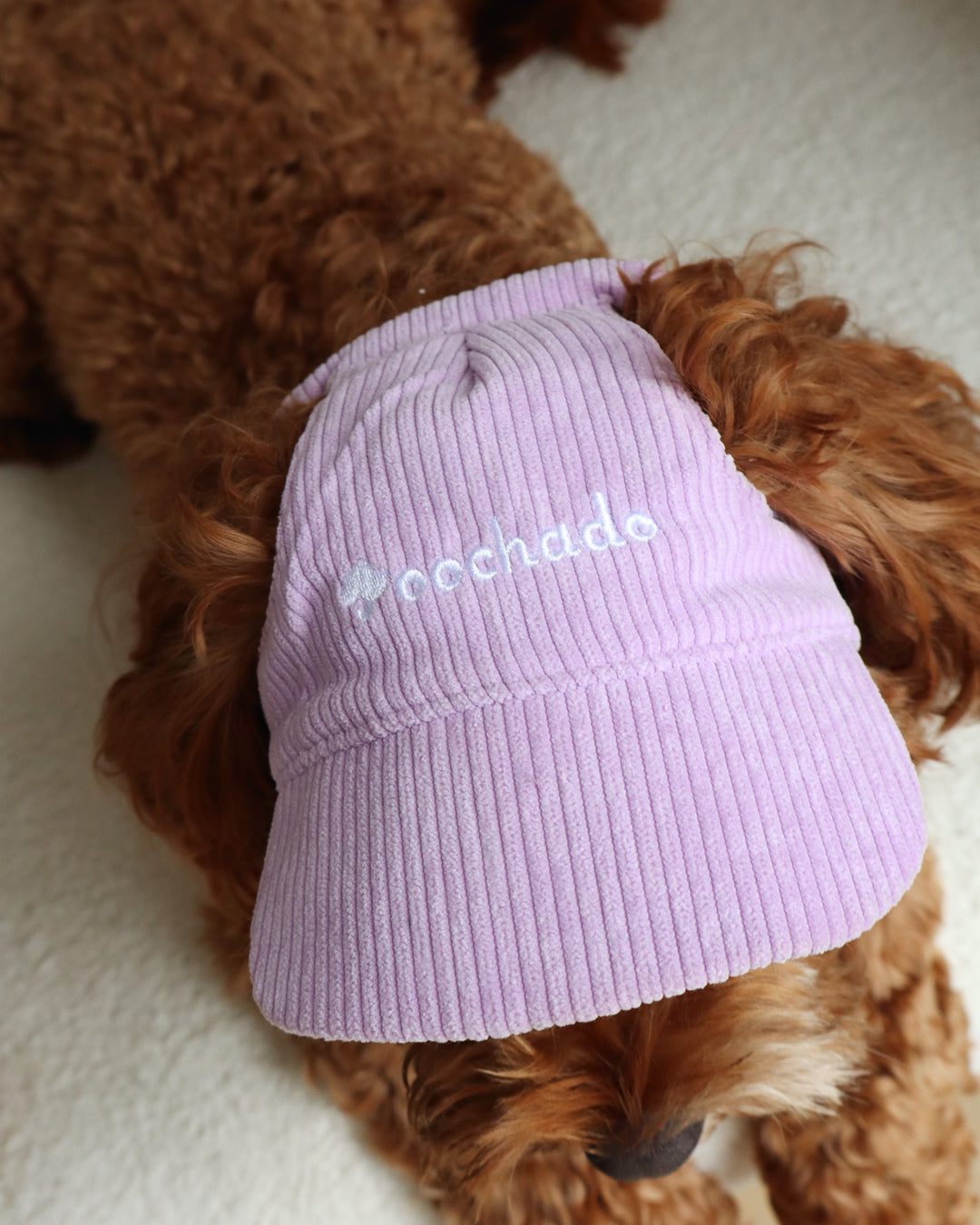 Dog Cap Corduroy Purple
