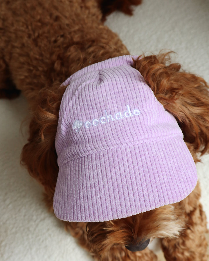 Dog Cap Corduroy Purple