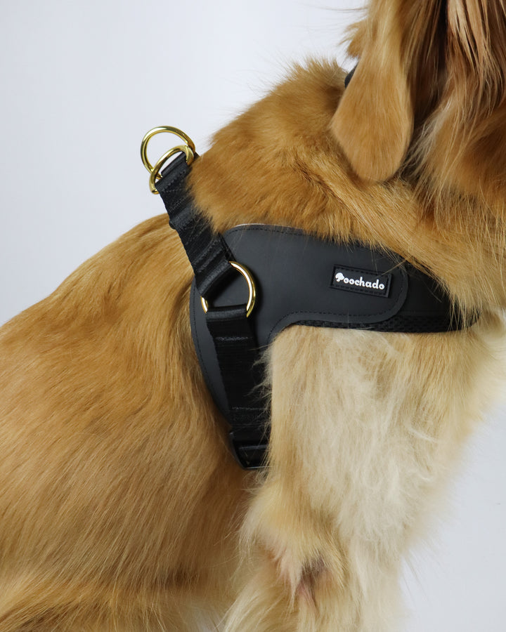 Big Dog Harness Black